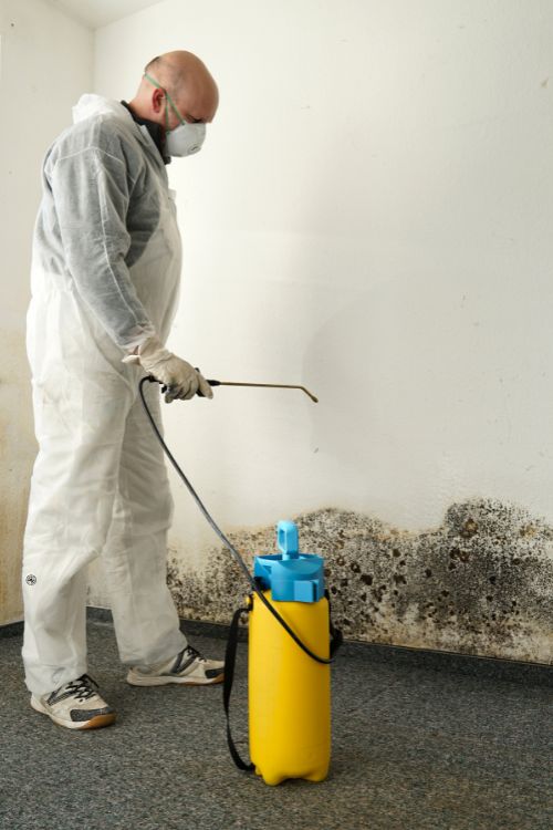 A man wearing a white suit sprays a wall with mold treatment, showcasing a mold removal service in Austin, TX.