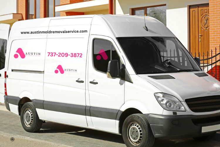 White van with pink and black text on the side, promoting a mold removal service based in Austin, Texas.