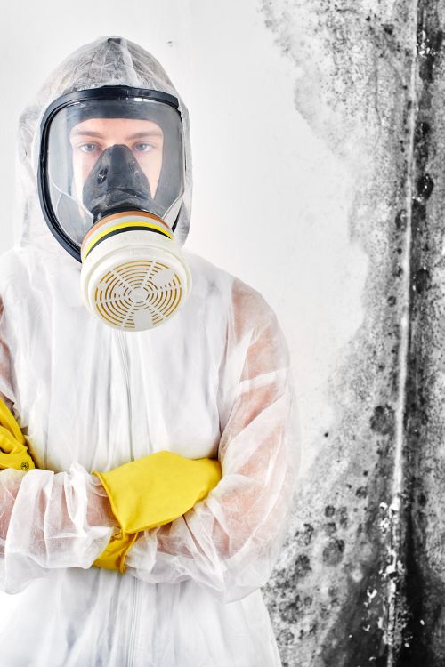 A man wearing a white protective suit and yellow gloves stands in front of a wall with mold, indicating a mold removal service in Austin, TX.