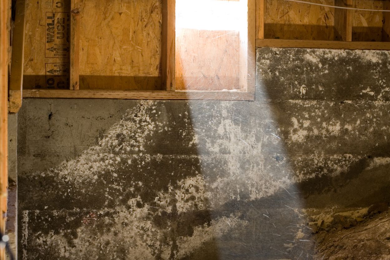 A man stands beside a ladder in a room, set for mold removal in a crawl space in Austin, TX.
