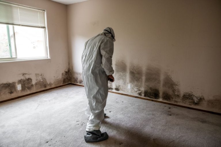 A man in a white suit stands in a room with visible mold, emphasizing the importance of VOC and formaldehyde inspections.