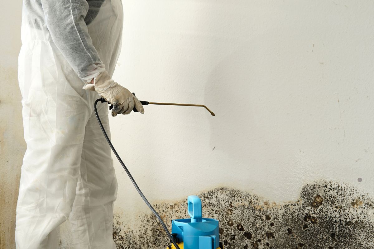 A professional in white overalls sprays a moldy wall, highlighting effective mold treatment in residential settings.