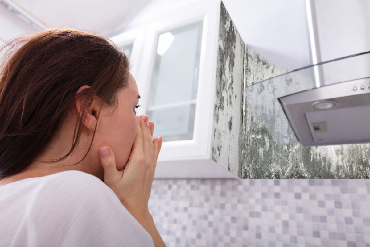 A woman examines a wall covered in mold, highlighting the need for a mold removal service.