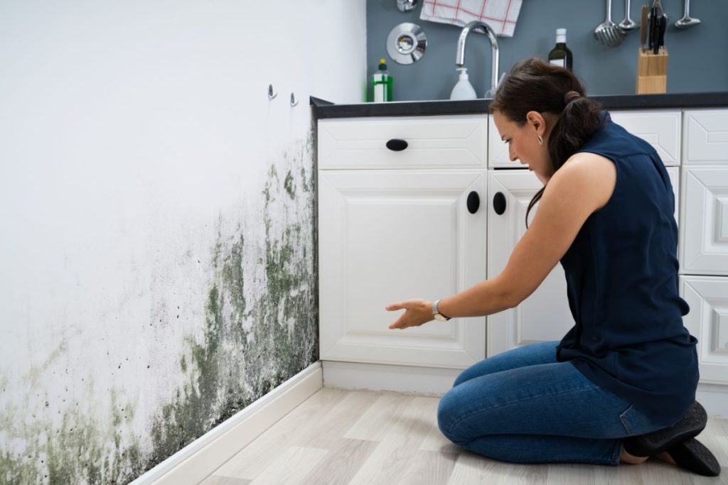 A woman kneels on the kitchen floor, inspecting mold on the wall, highlighting the need for a mold removal service.
