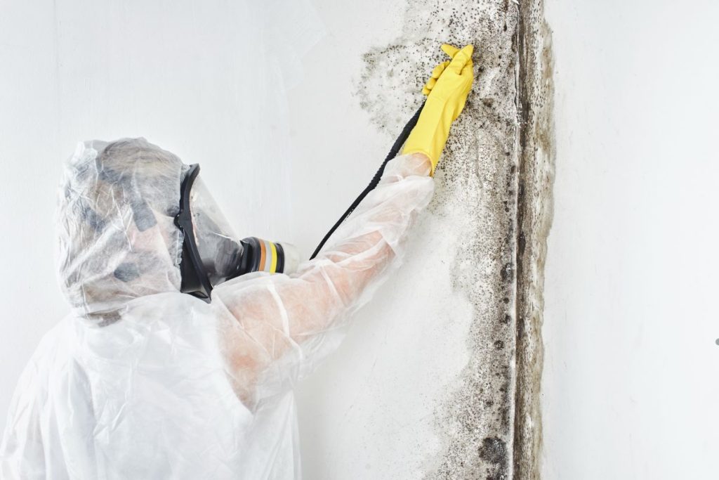 A person in a white suit and yellow gloves sprays mold remover on a wall during a mold removal service.