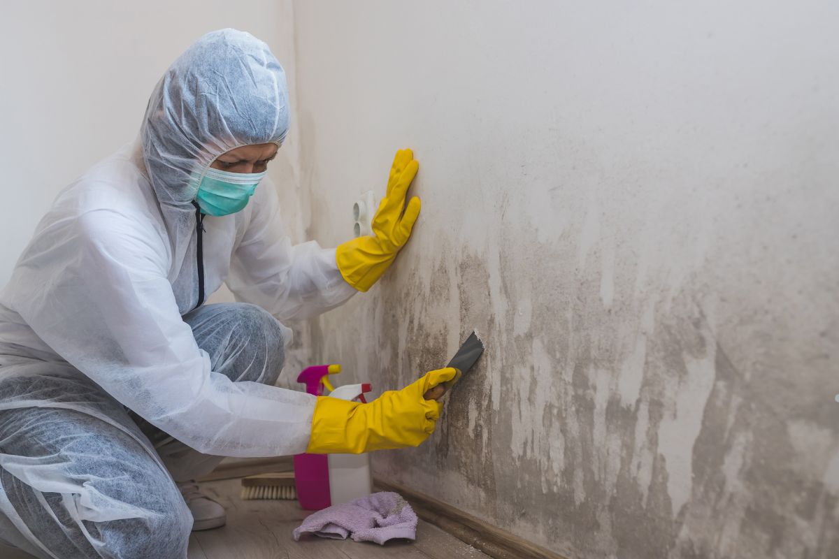 A woman in a white coat and rubber gloves cleans a wall as part of a mold removal service.